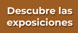 descubre las exposiciones